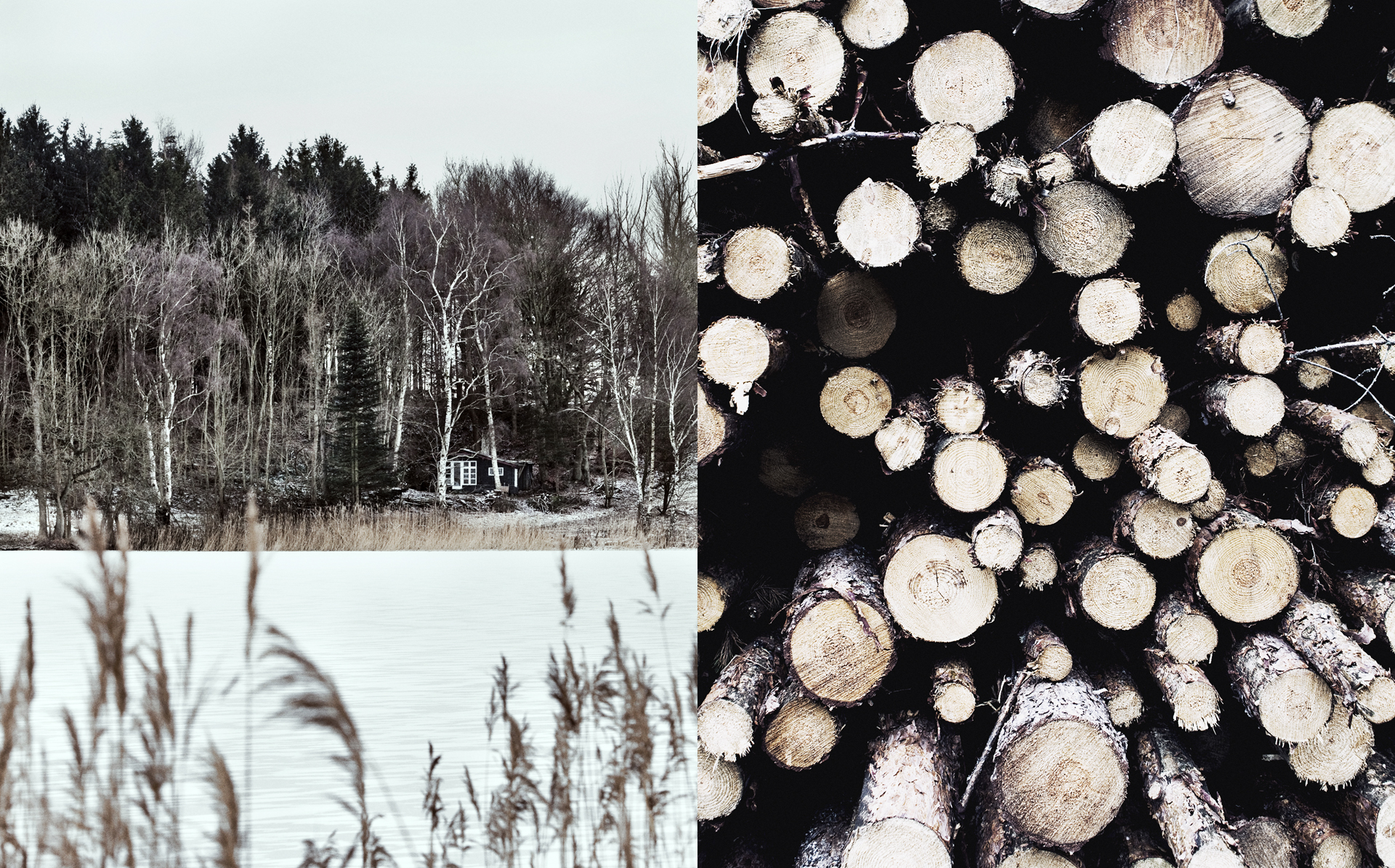 asgersimonsen_natur-05